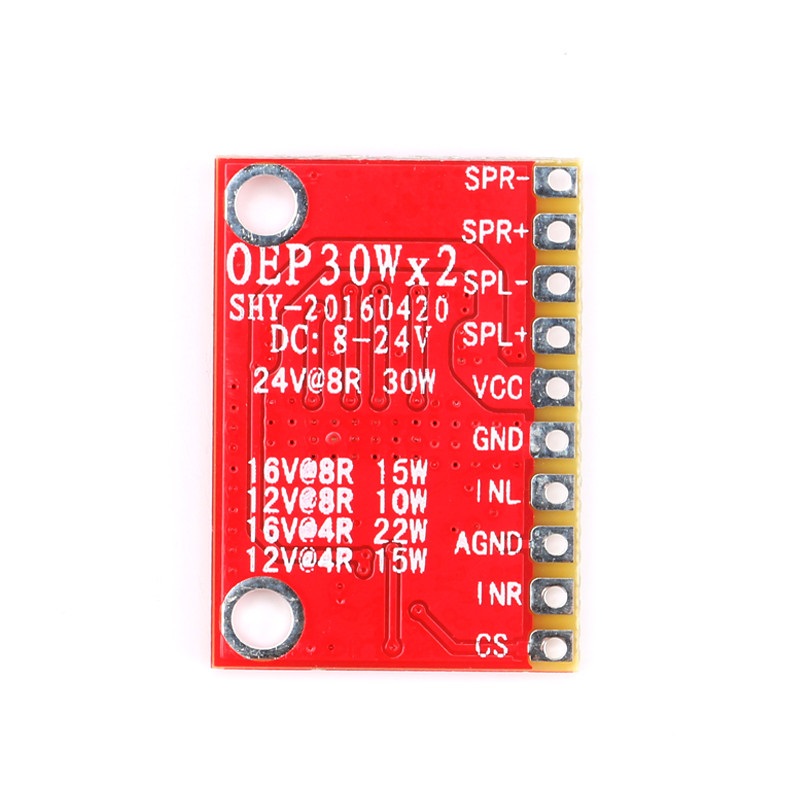OEP30W*2 Modul digitaler Stereo-Verstärker
