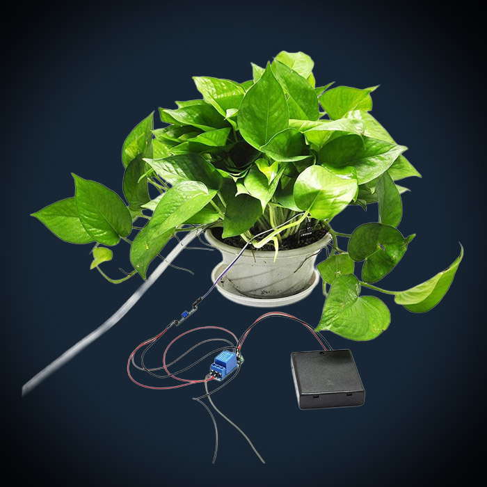 DIY-Elektronik Set für automatische Pflanzenbewässerung