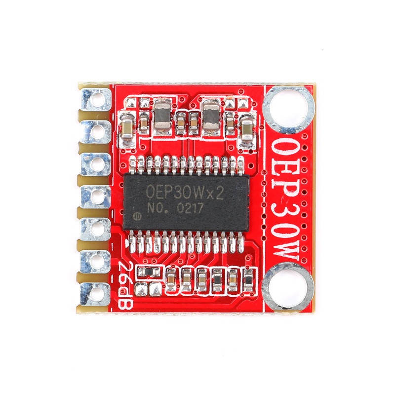 OEP30W Modul digitaler Mono-Verstärker