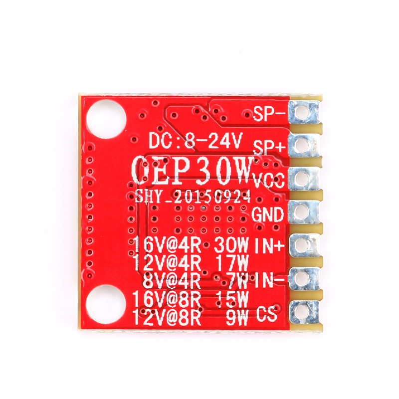 OEP30W Modul digitaler Mono-Verstärker