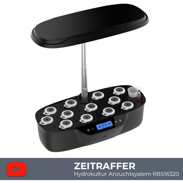 Zeitraffer Hydrokultur-Anzuchtsystem