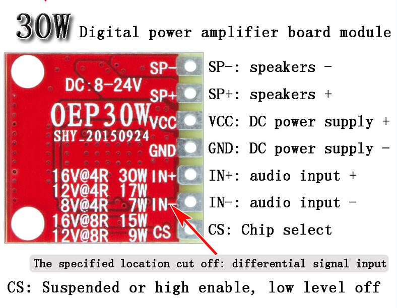 OEP30W Modul digitaler Mono-Verstärker