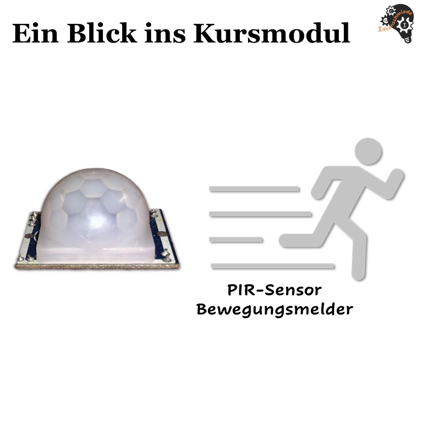 Kombi-Kurspaket - Der Einstieg in die Welt des Mikrocontrollings Live-Coaching