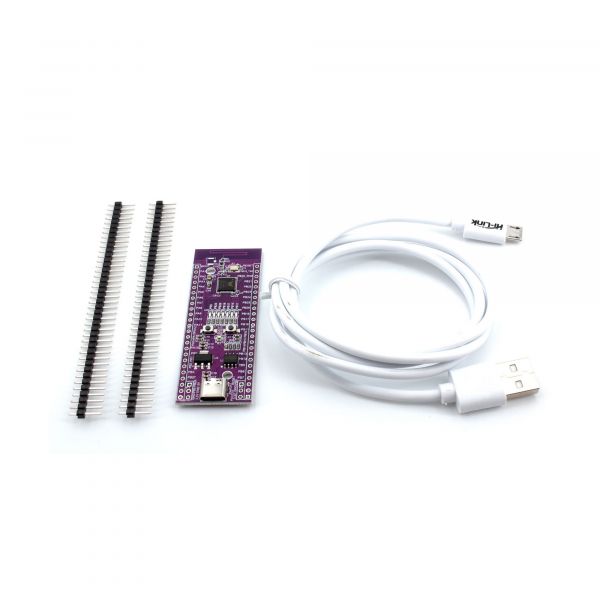 HLK-W801 IoT Entwicklungsboard WiFi Bluetooth