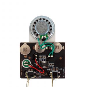 Placa De Amplificador De Audio, XH-M311 Mini TPA3118 Amplificador Digital Amplificador De Audio Instalacion Sin Esfuerzo